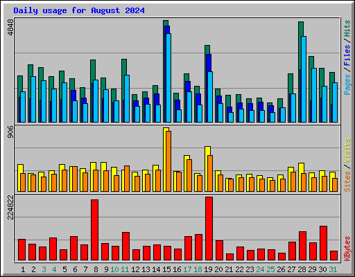 Daily usage for August 2024