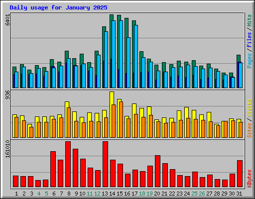 Daily usage for January 2025