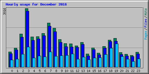 Hourly usage for December 2016