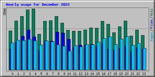 Hourly usage for December 2023