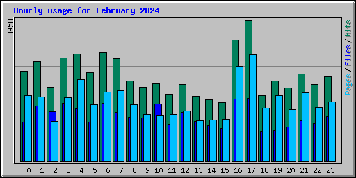 Hourly usage for February 2024