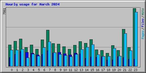 Hourly usage for March 2024