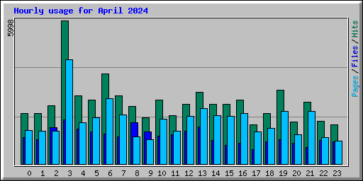 Hourly usage for April 2024