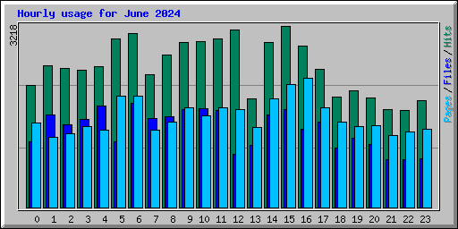 Hourly usage for June 2024