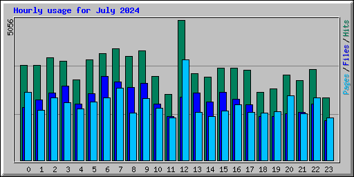 Hourly usage for July 2024