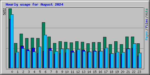 Hourly usage for August 2024