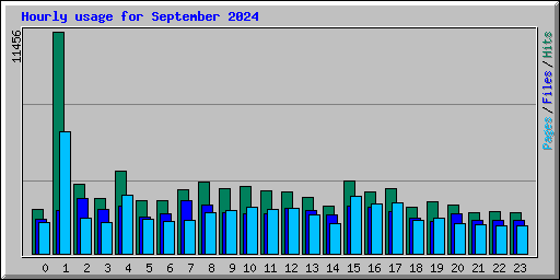 Hourly usage for September 2024