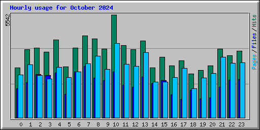 Hourly usage for October 2024