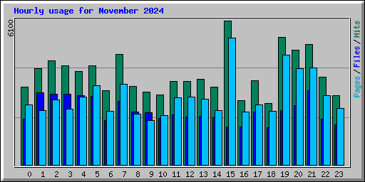 Hourly usage for November 2024