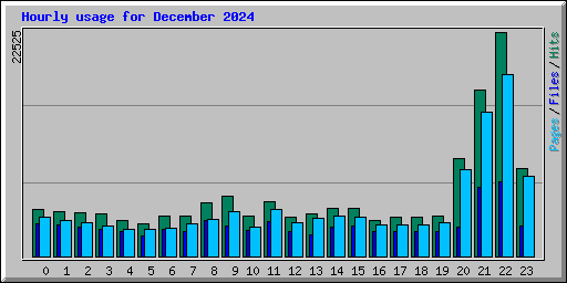 Hourly usage for December 2024