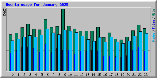 Hourly usage for January 2025