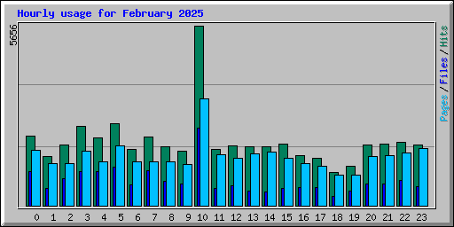 Hourly usage for February 2025