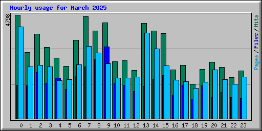 Hourly usage for March 2025
