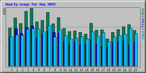 Hourly usage for May 2025