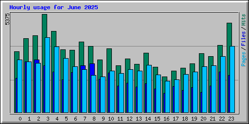 Hourly usage for June 2025