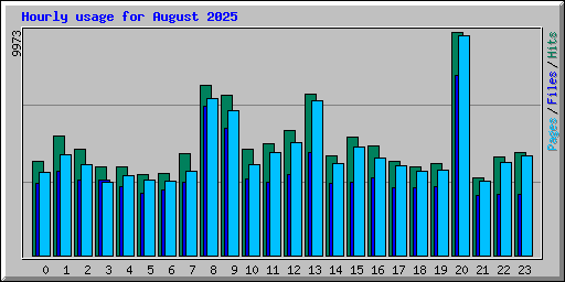Hourly usage for August 2025