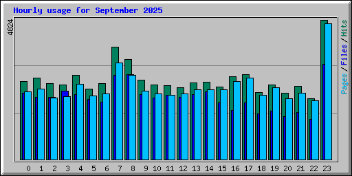 Hourly usage for September 2025