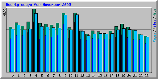 Hourly usage for November 2025
