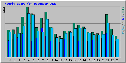 Hourly usage for December 2025