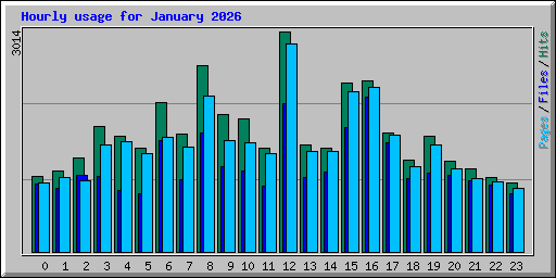 Hourly usage for January 2026