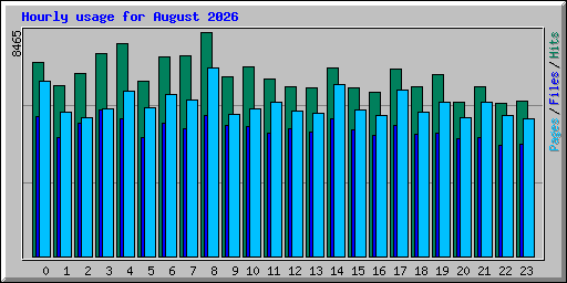Hourly usage for August 2026